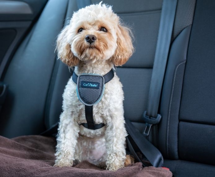 CarSafe Dog Travel Car Harness Size x small dog