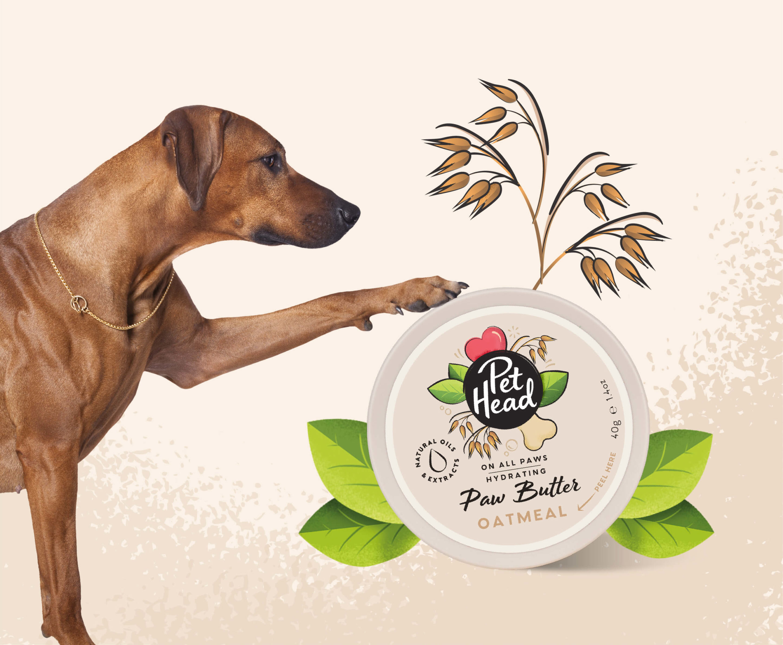Ridgeback putting his paw on a giant tub of paw butter