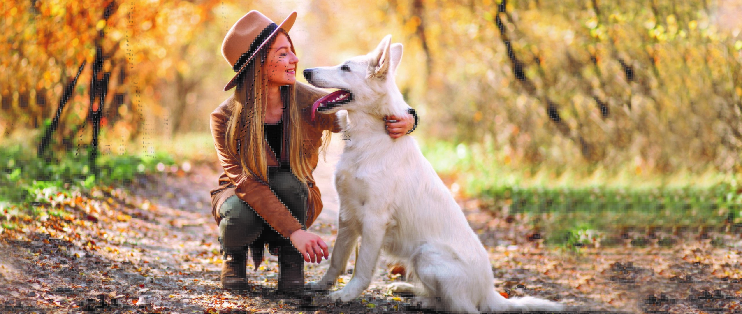 Woman wearing a fedora looking lovingly at her shepherd dog