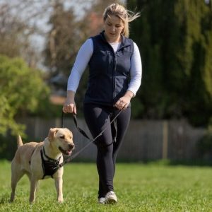 How Much Exercise Do Dogs Need? A Comprehensive Guide for Every Life Stage