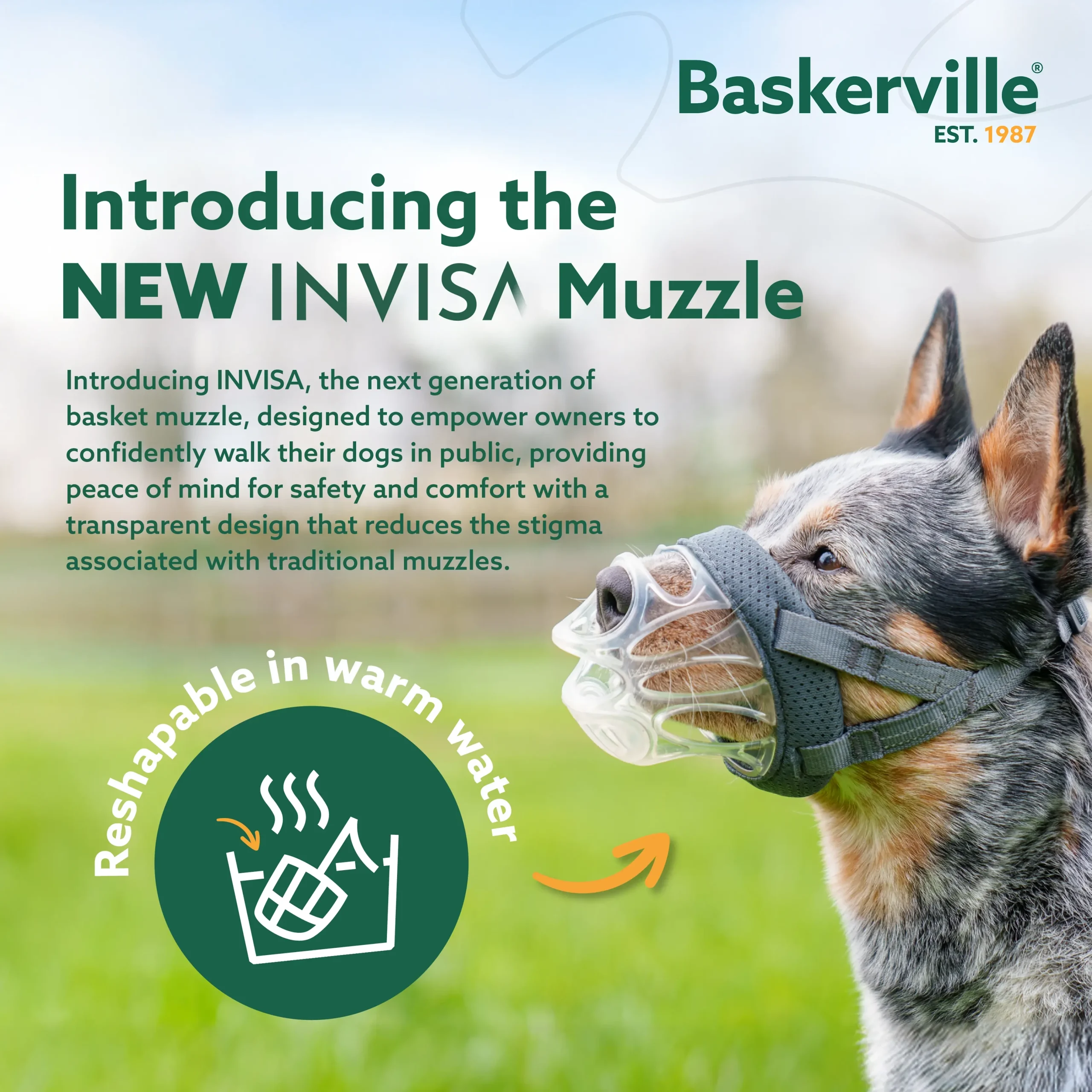 The image of best Dog Muzzle | Baskerville INVISA Muzzle