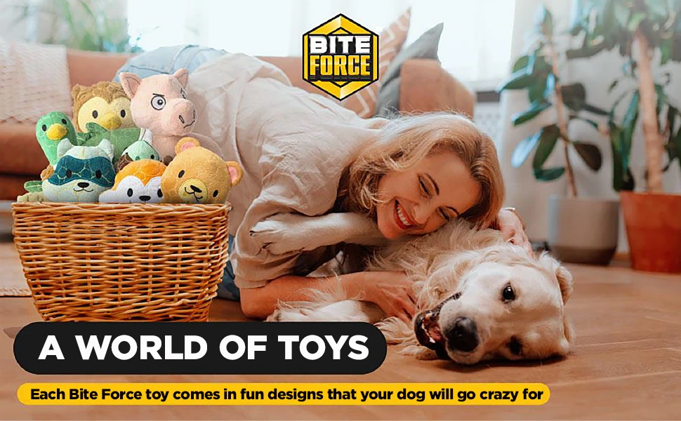 Bite Force feature image of a lady and her dog ready to play