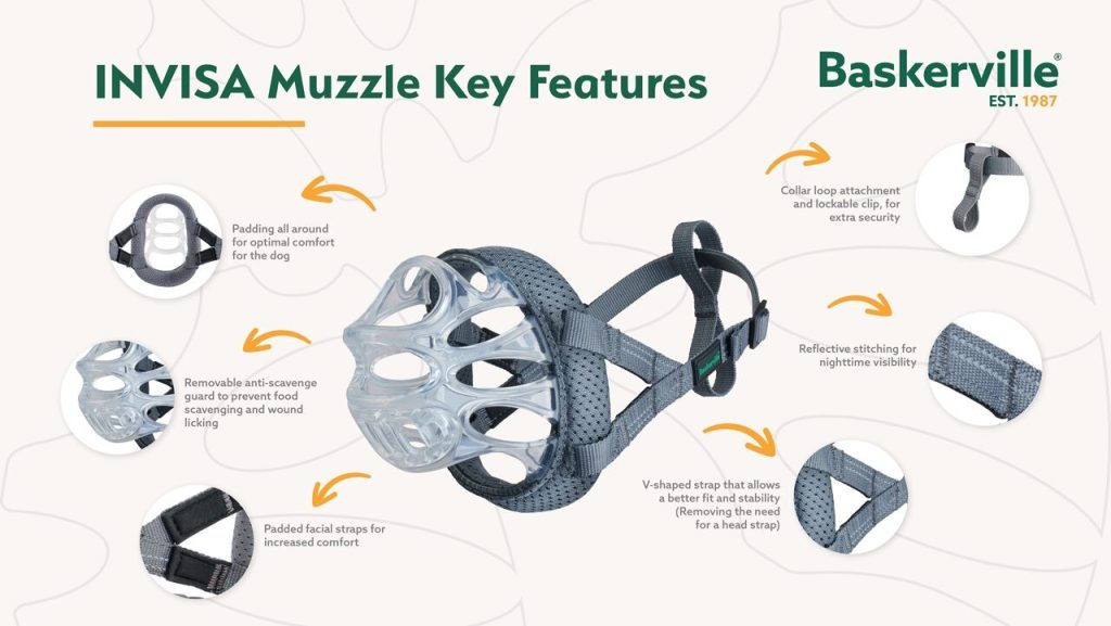 Diagram highlighting the key features of the Baskerville INVISA muzzle, including 360-degree padding, a removable anti-scavenge guard, padded facial straps, a V-shaped strap system to eliminate the need for a head strap, reflective stitching, and a lockable collar loop attachment.