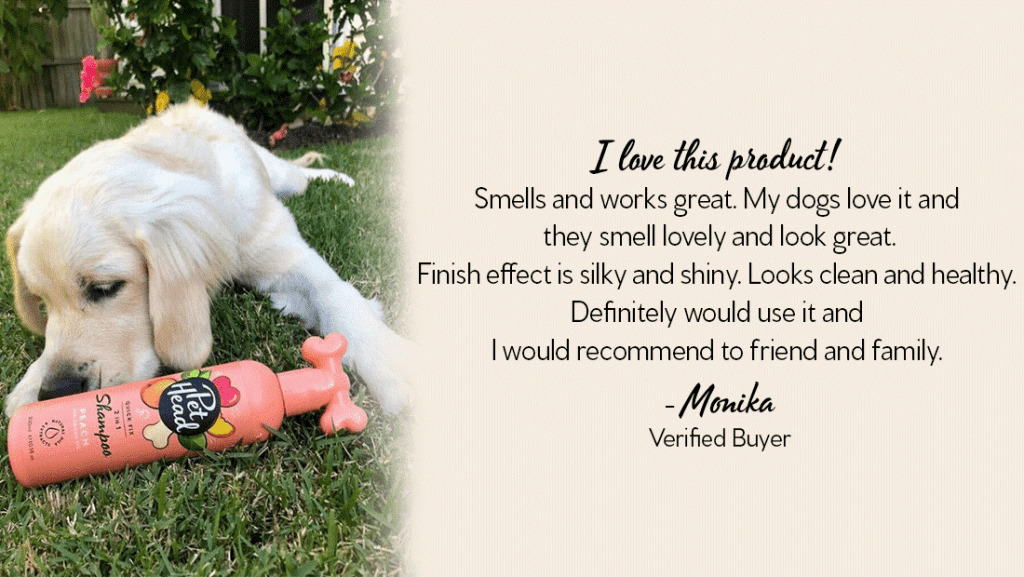 A Golden Retriever puppy lying on green grass next to a bottle of Pet Head Quick Fix 2-in-1 Peach Dog Shampoo, demonstrating a gentle dog washing routine for healthy skin.