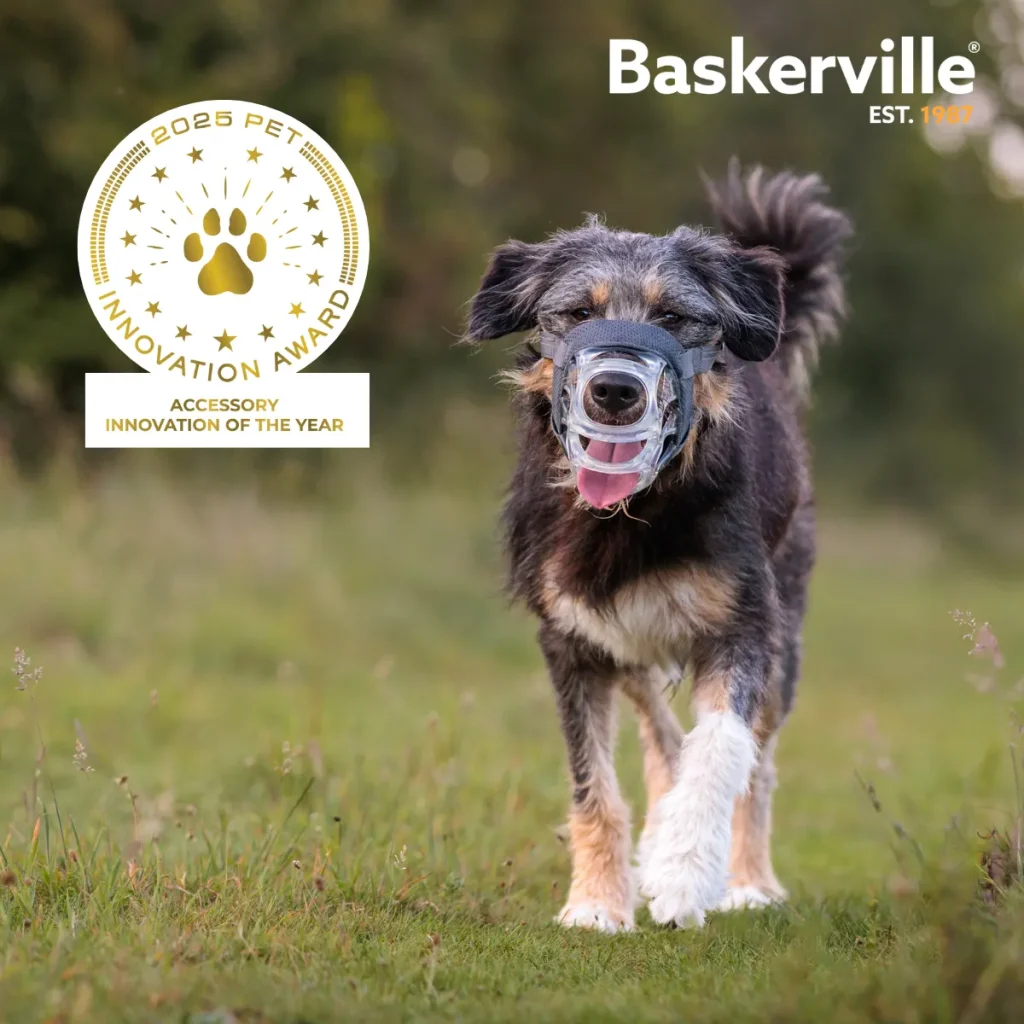 A happy, scruffy dog running through a grassy field wearing an INVISA muzzle. The image prominently displays the "2025 Pet Innovation Award" gold seal for "Accessory Innovation of the Year," showcasing the muzzle's lightweight and humane design.
