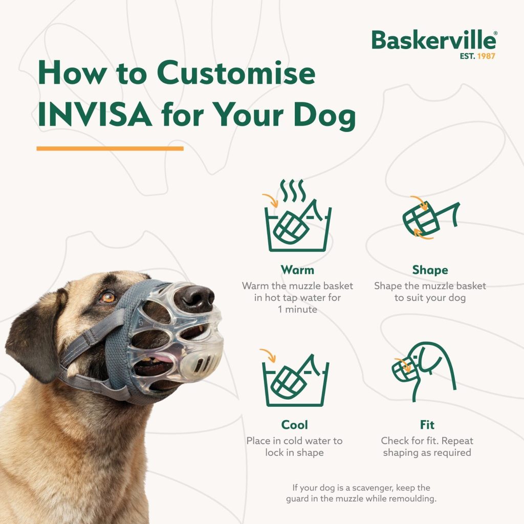 Step-by-step guide on how to heat-shape the Baskerville INVISA muzzle for a custom fit. The four steps include: 1. Warm in hot water for one minute, 2. Shape the basket, 3. Cool in cold water to lock the shape, and 4. Check for fit. An image of a dog wearing the transparent INVISA muzzle is shown on the left.