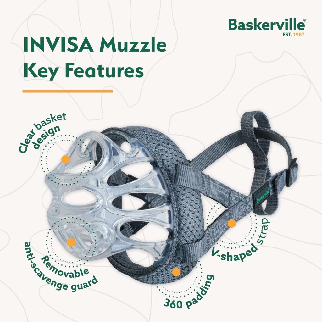 Detailed infographic of the INVISA, a transparent and comfortable dog muzzle. Key features include 360-degree padding around the rim to prevent skin irritation, a removable anti-scavenge guard, and a V-shaped strap system for stability without a head strap.