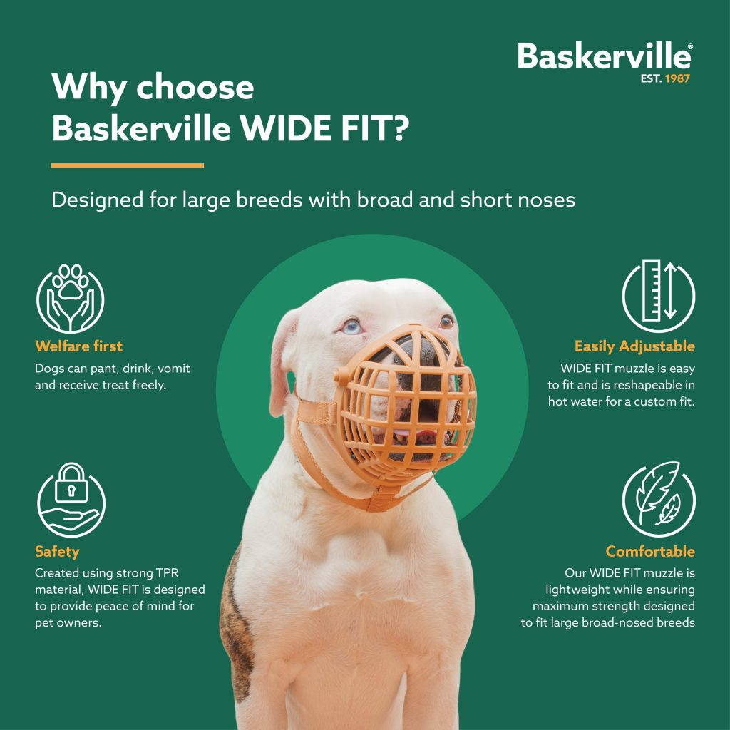 Infographic featuring a white Bulldog wearing a tan Wide Fit muzzle. It highlights four welfare and safety benefits: an open design for panting and drinking, strong TPR material for safety, heat-shaping for a custom fit, and a lightweight, comfortable design for broad-nosed large breeds.