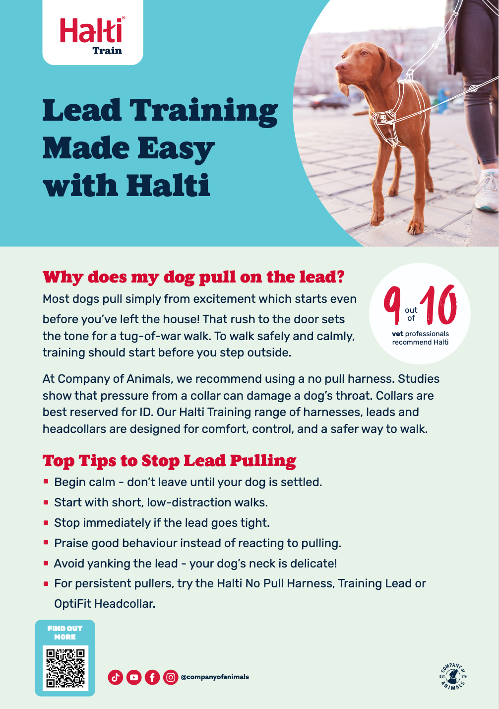 Halti Train Educational Leaflet