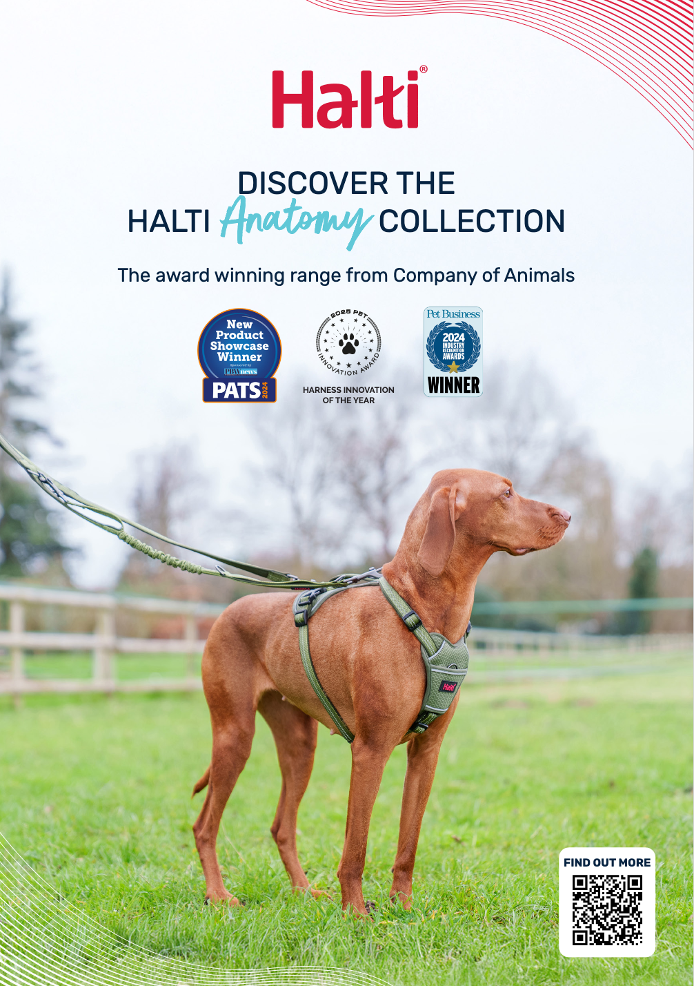 Halti Anatomy Educational Leaflet