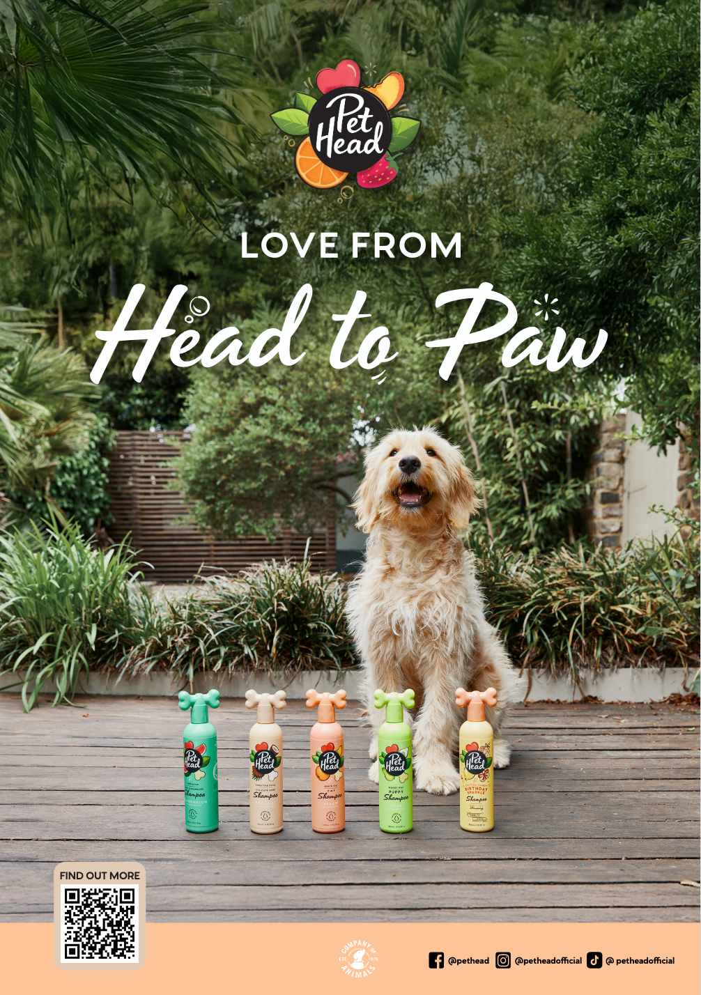 Pet Head Leaflet