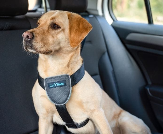 CarSafe Dog Travel Car Harness large dog