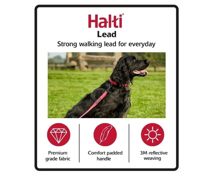 Unique selling points for Halti Lead