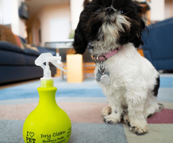 A dog next to a bottle of Dry Clean Spray