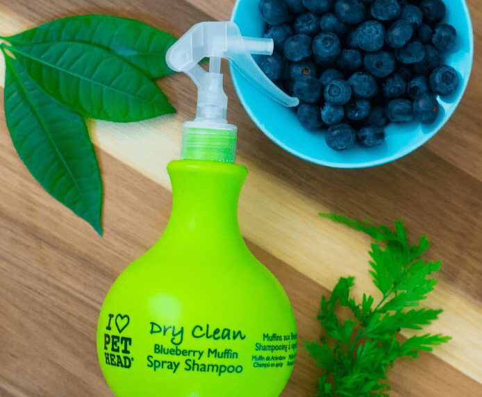 Dry Clean Spray next to a bowl of Bluberries
