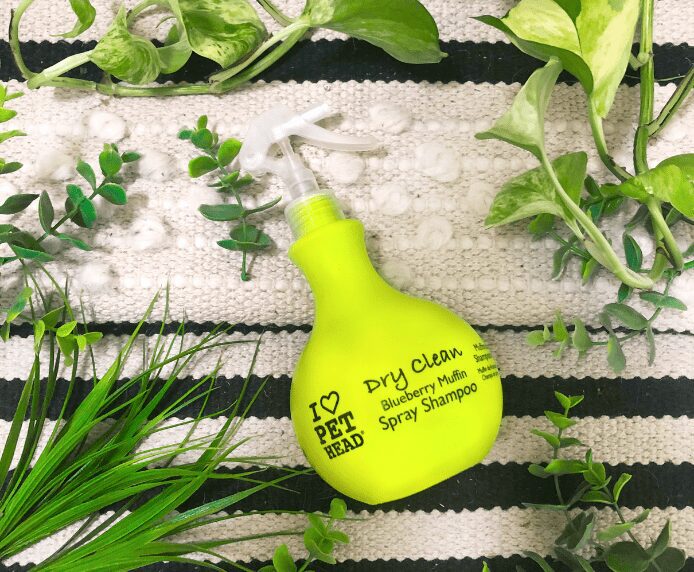 Dry Clean Spray on a mat next to some plants
