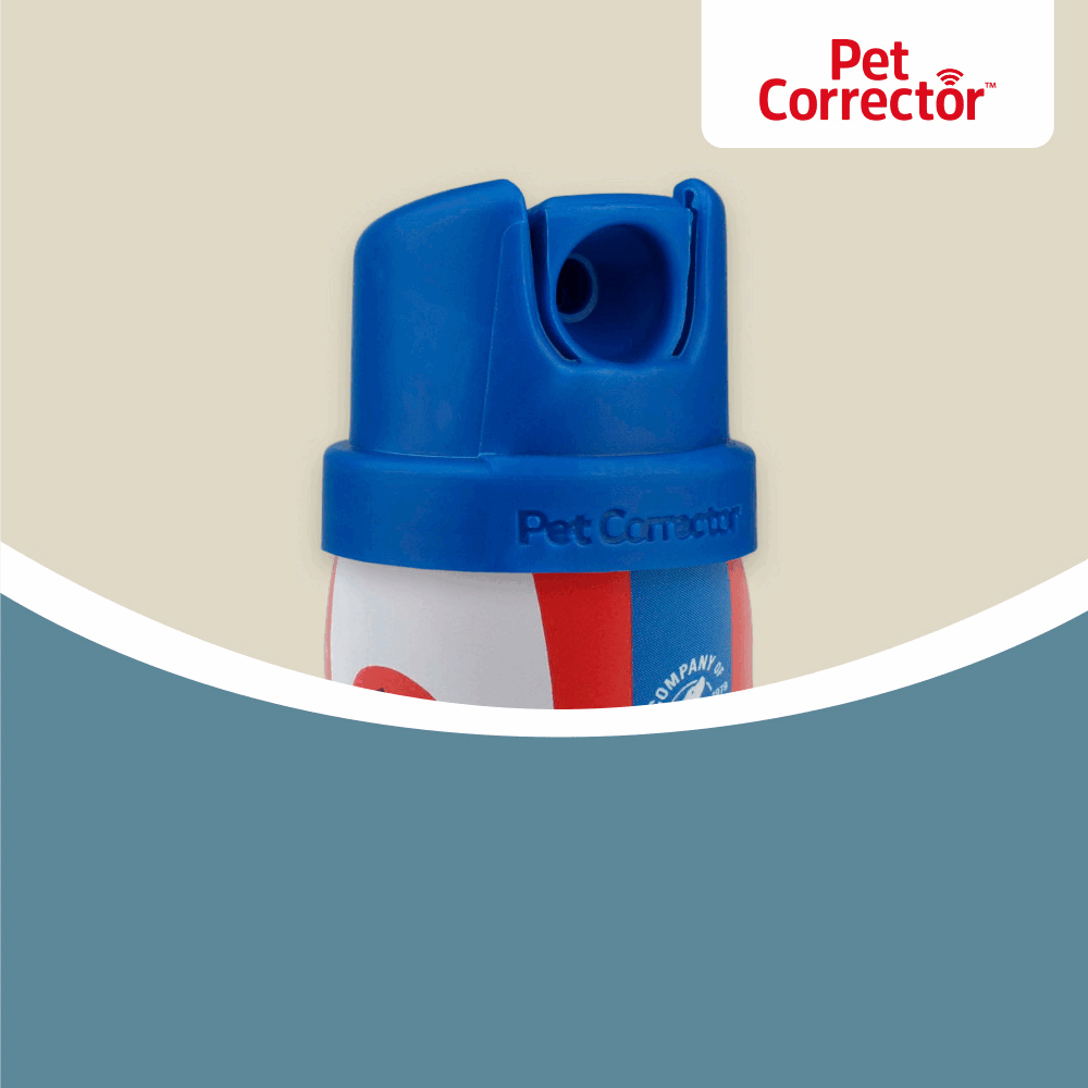 how to activate pet corrector