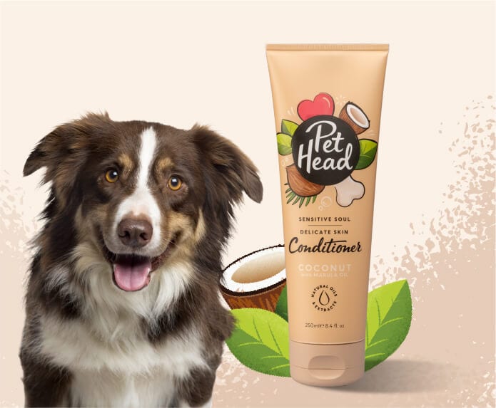 Product shot of the Pet Head Sensitive Soul Conditioner next to a happy dog