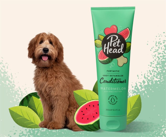 Product shot of the Pet Head Furtastic conditioner with a cockapoo in the background