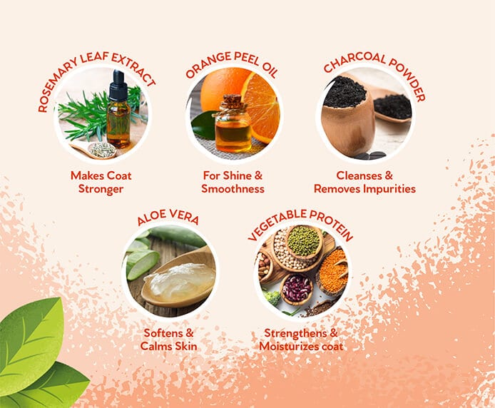 Rosemary leaf extract, orange peel oil, charcoal powder, aloe vera and vegetable protein icons