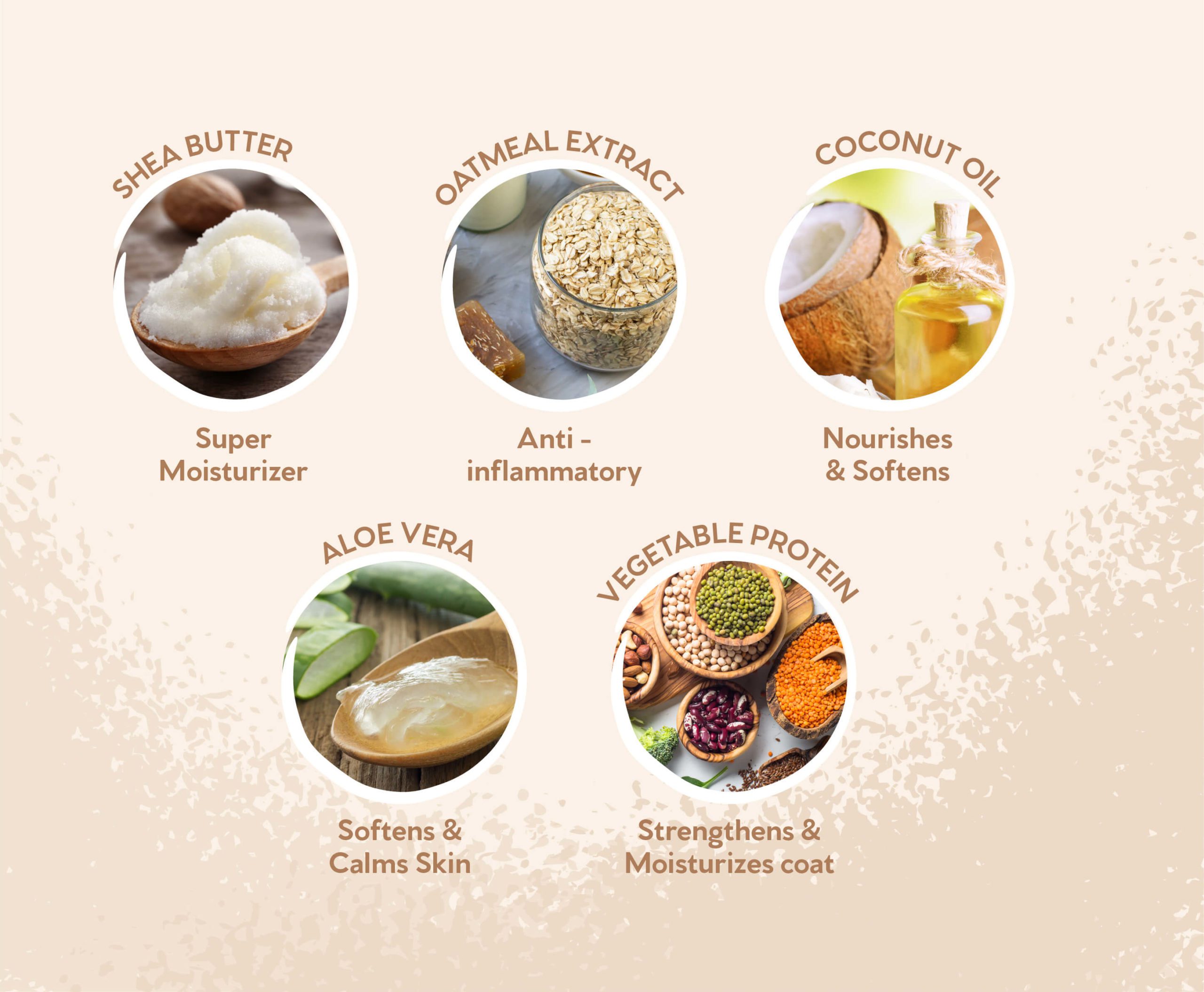 Shea butter, Oatmeal extract, coconut oil, Aloe Vera and Vegetable proteins icons