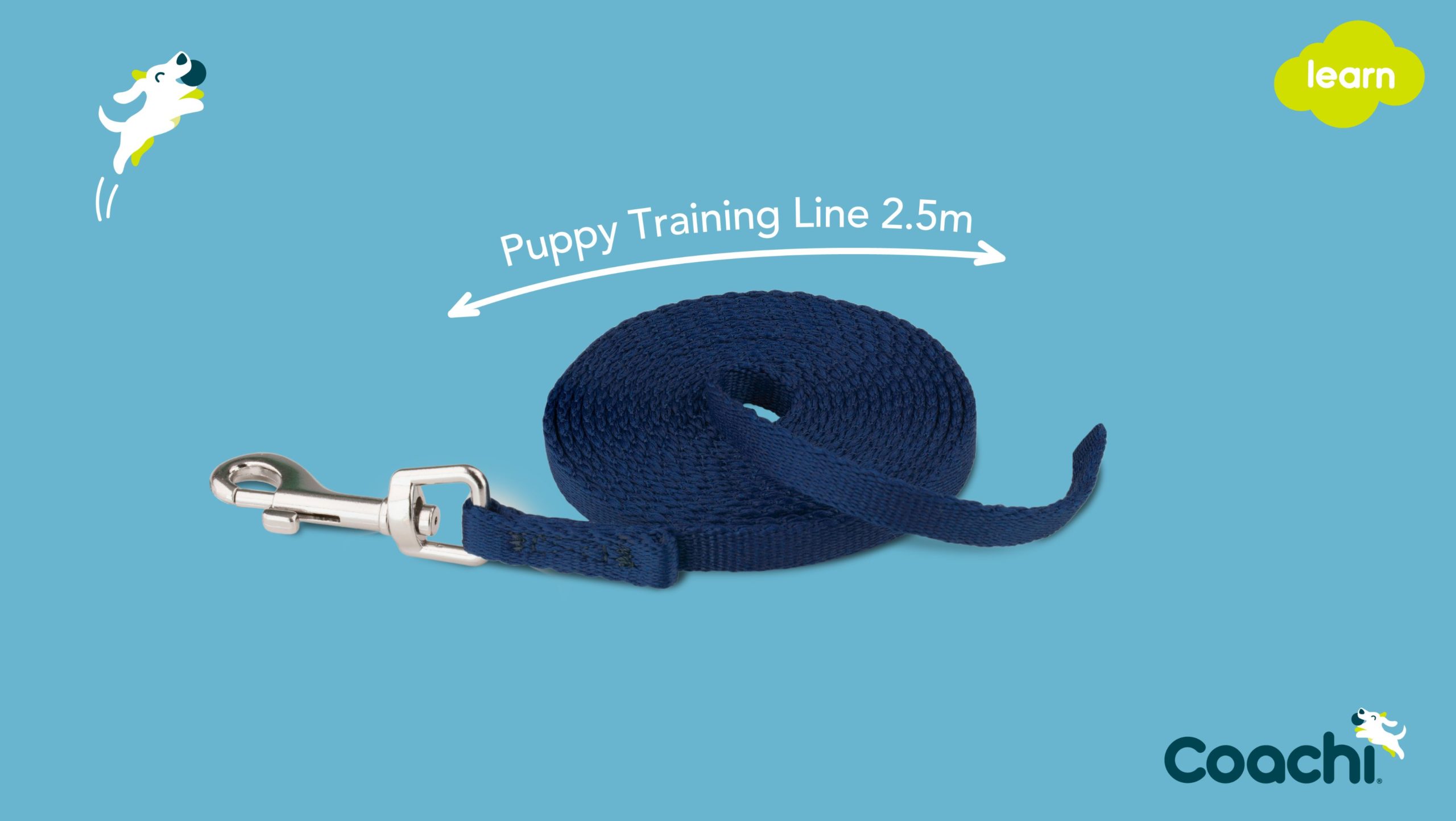 puppy training lead dimensions