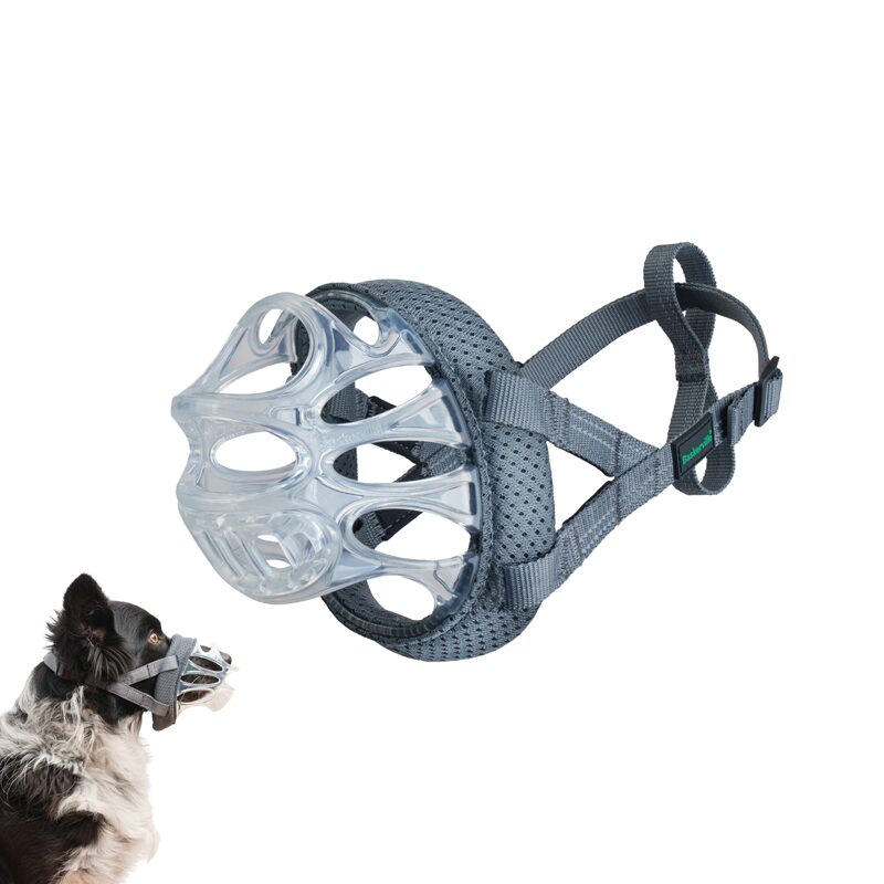 Baskerville INVISA Muzzle | Company Of Animals US