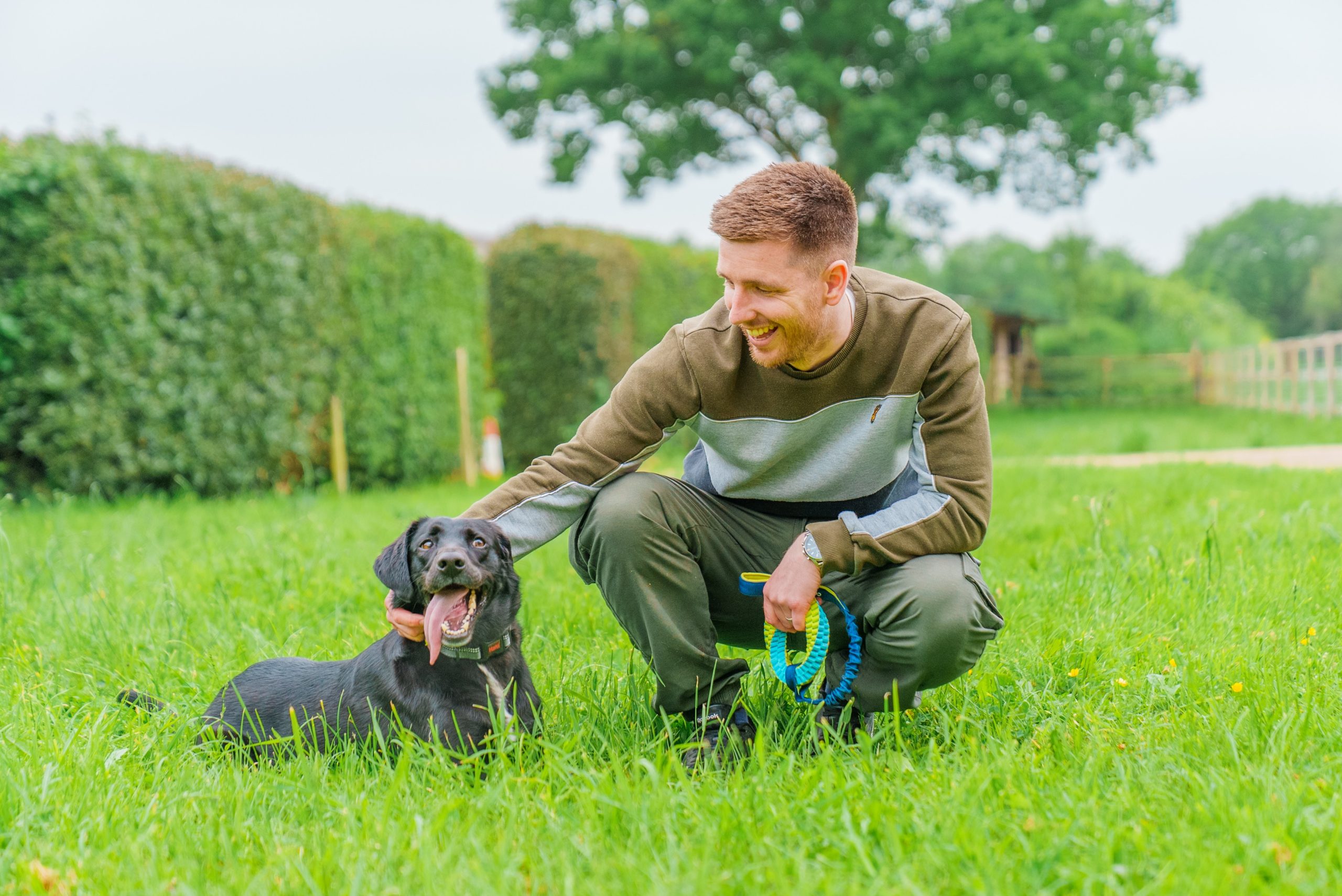 A man and his dog use a Coachi tug toy for a fun training session.
