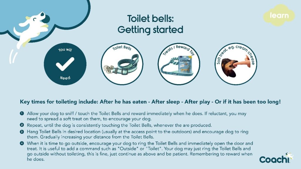 Coachi Toilet Bells training infographic explaining how to introduce toilet bells to puppies, including required tools, reward treats, and step-by-step instructions for teaching dogs to ring the bells before going outside.