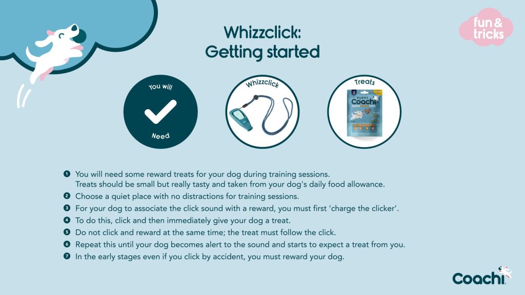 Whizzclick dog clicker training getting started infographic showing treats needed, charging the clicker, rewarding timing, and positive reinforcement steps.