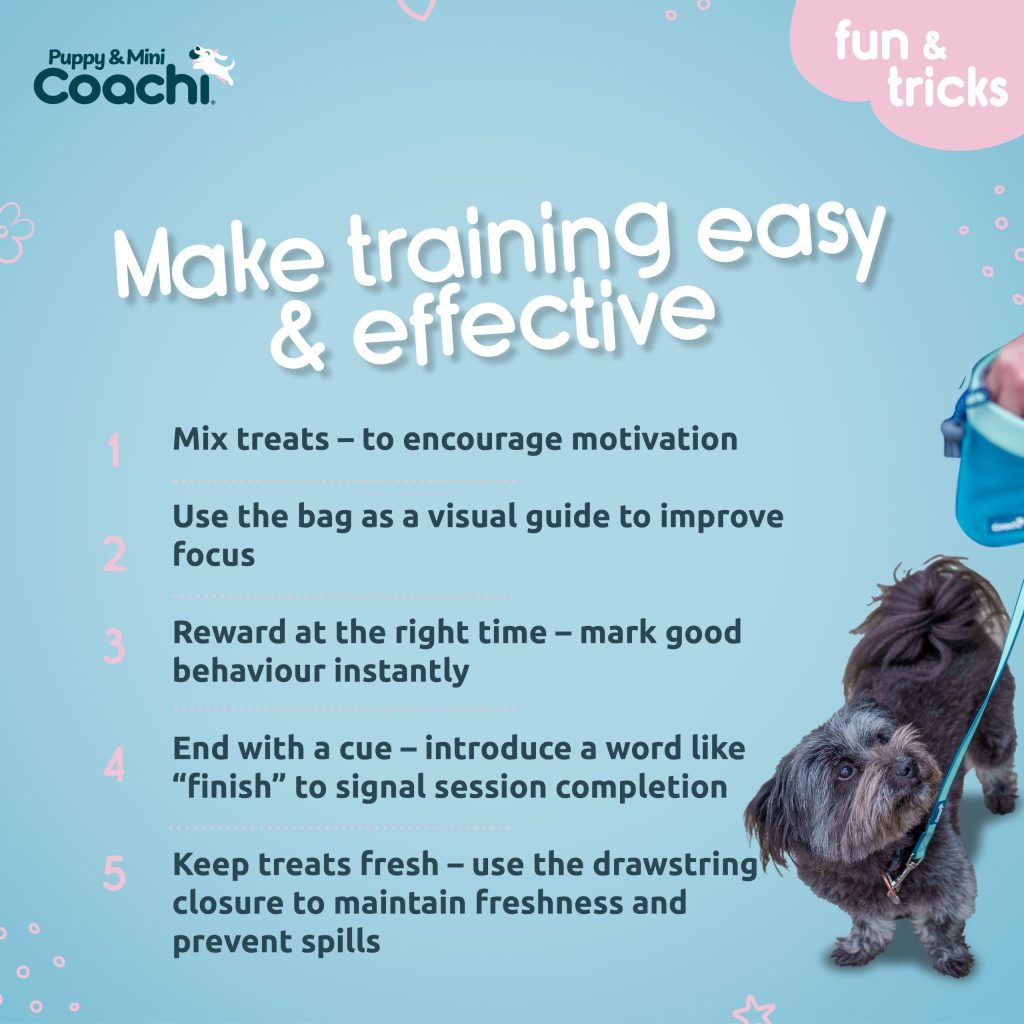 Infographic showing five tips to make dog training easy and effective by mixing treats, using a treat bag for focus, rewarding instantly, ending with a cue, and keeping treats fresh.