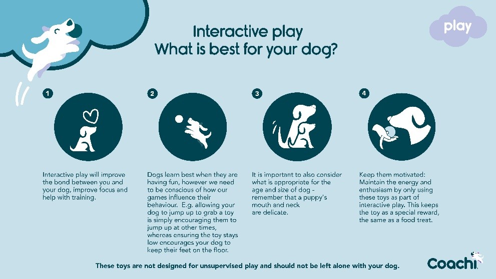 Interactive play tips infographic showing how play strengthens bonding, improves focus, shapes behaviour, considers dog age and size, and maintains motivation.