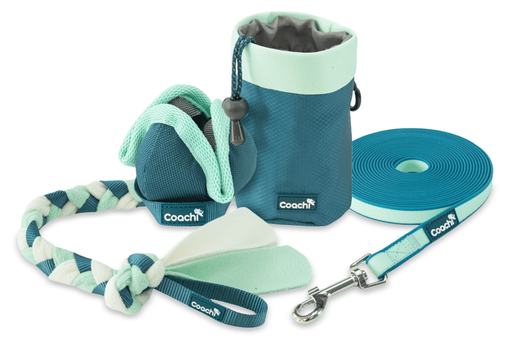 Coachi dog training essentials including a treat pouch, training line, harness, and reward toy set designed for recall and positive reinforcement training.