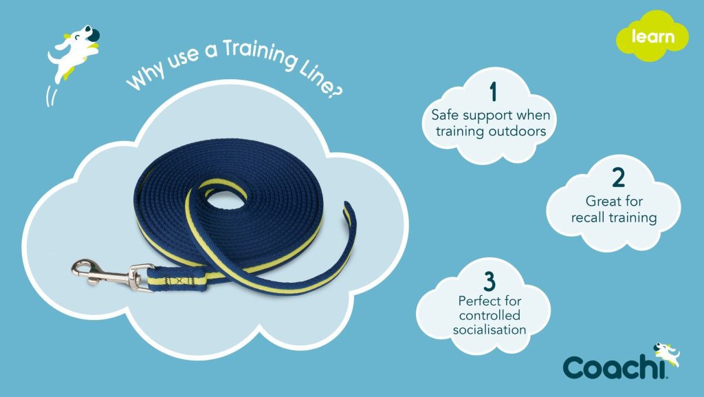 Coachi dog training line shown on a blue background, highlighting benefits for recall training, outdoor safety, and controlled socialisation.