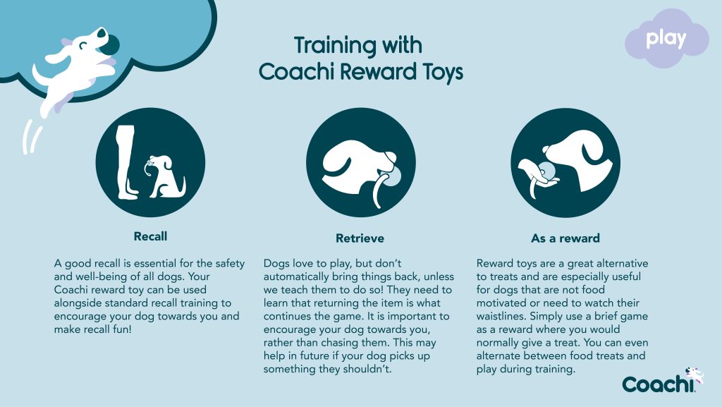 Coachi dog training line shown on a blue background, highlighting benefits for recall training, outdoor safety, and controlled socialisation.