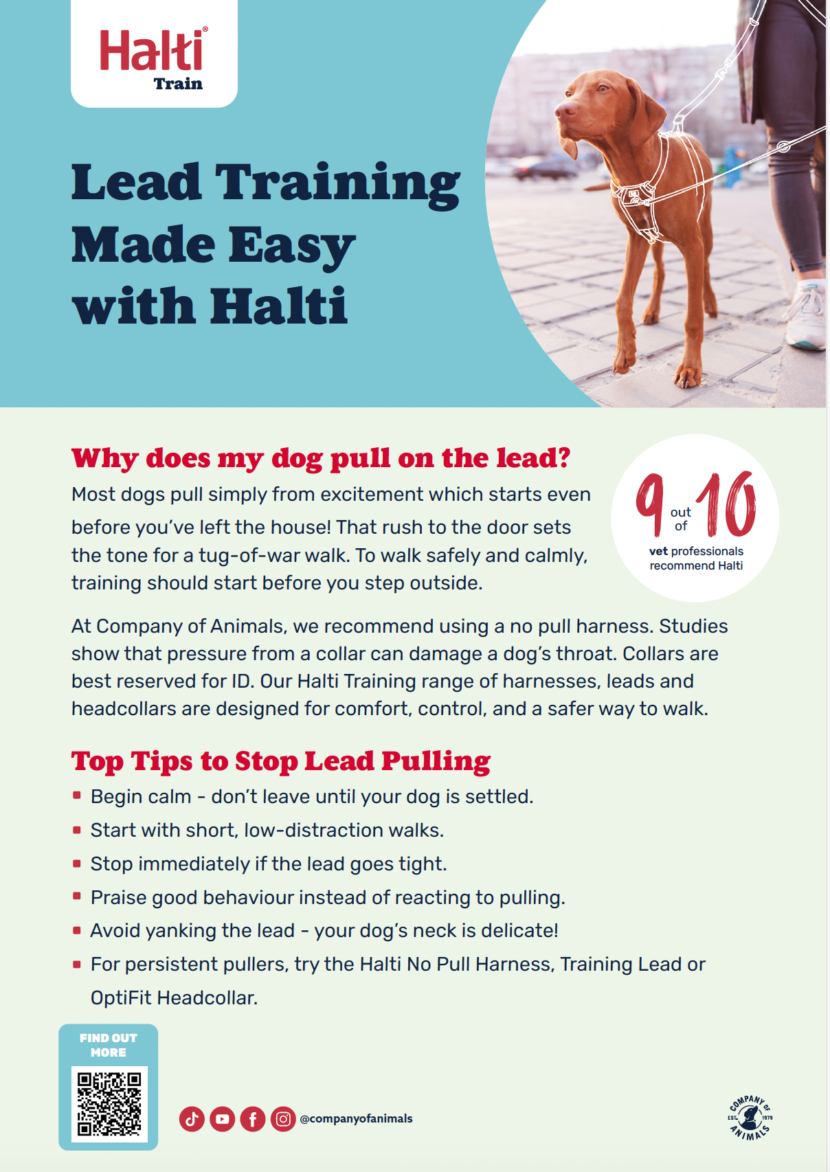 Halti Train Educational Leaflet